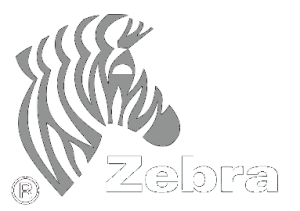 zebra white